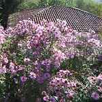 Agriturismo Sogni D' Orto *