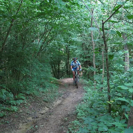 Bed & Breakfast Agriturismo Sogni D' Orto Faedis