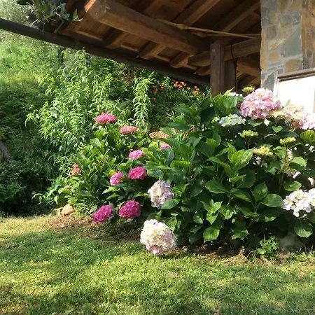 Agriturismo Sogni D' Orto Bed and breakfast Faedis