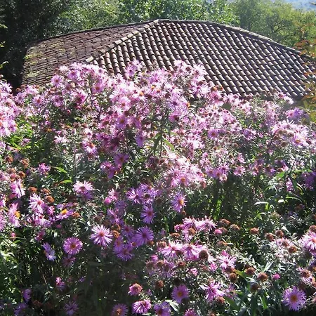 Agriturismo Sogni D' Orto *