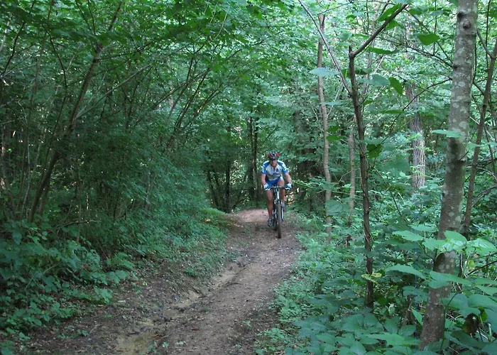 Panzió Agriturismo Sogni D' Orto Faedis
