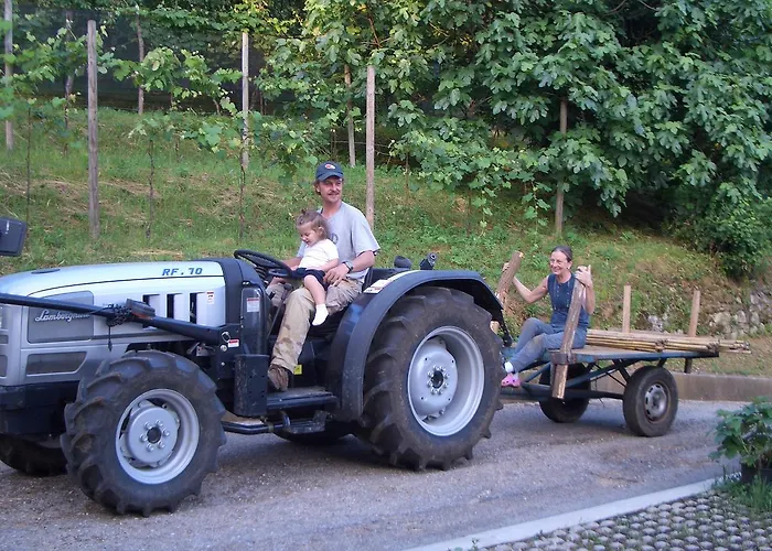 Agriturismo Sogni D' Orto * Faedis