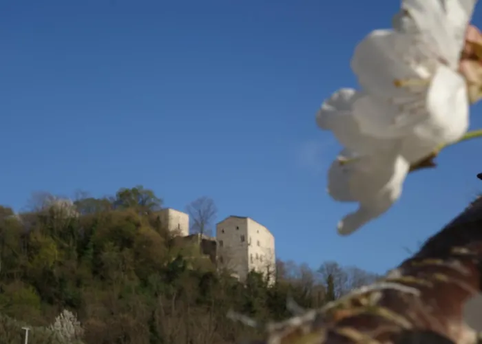 Agriturismo Sogni D' Orto