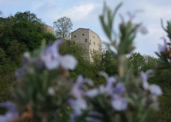 Agriturismo Sogni D' Orto Panzió